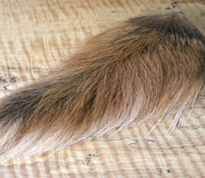 Buck Tail