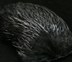 ORVIS Hen Hackle