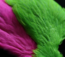 Indian Hackles