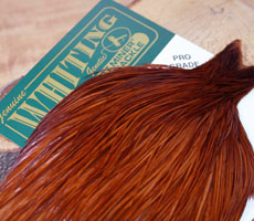 Whiting Medium Brown