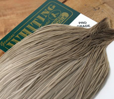 Whiting Light Gray Dun