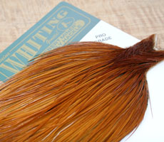 Whiting Light Brown