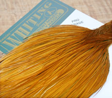 Whiting Medium Ginger