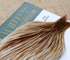 Whiting Unique Variant 1