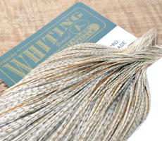Whiting Unique Variant 1