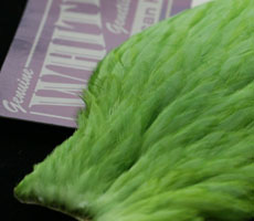 American Hen Hackle