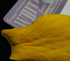 American Hen Hackle