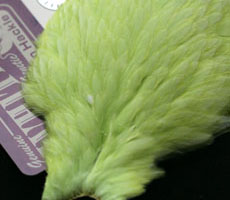 American Hen Hackle