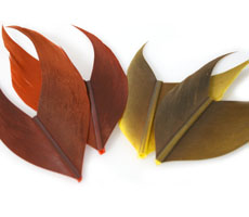 Condle Quills