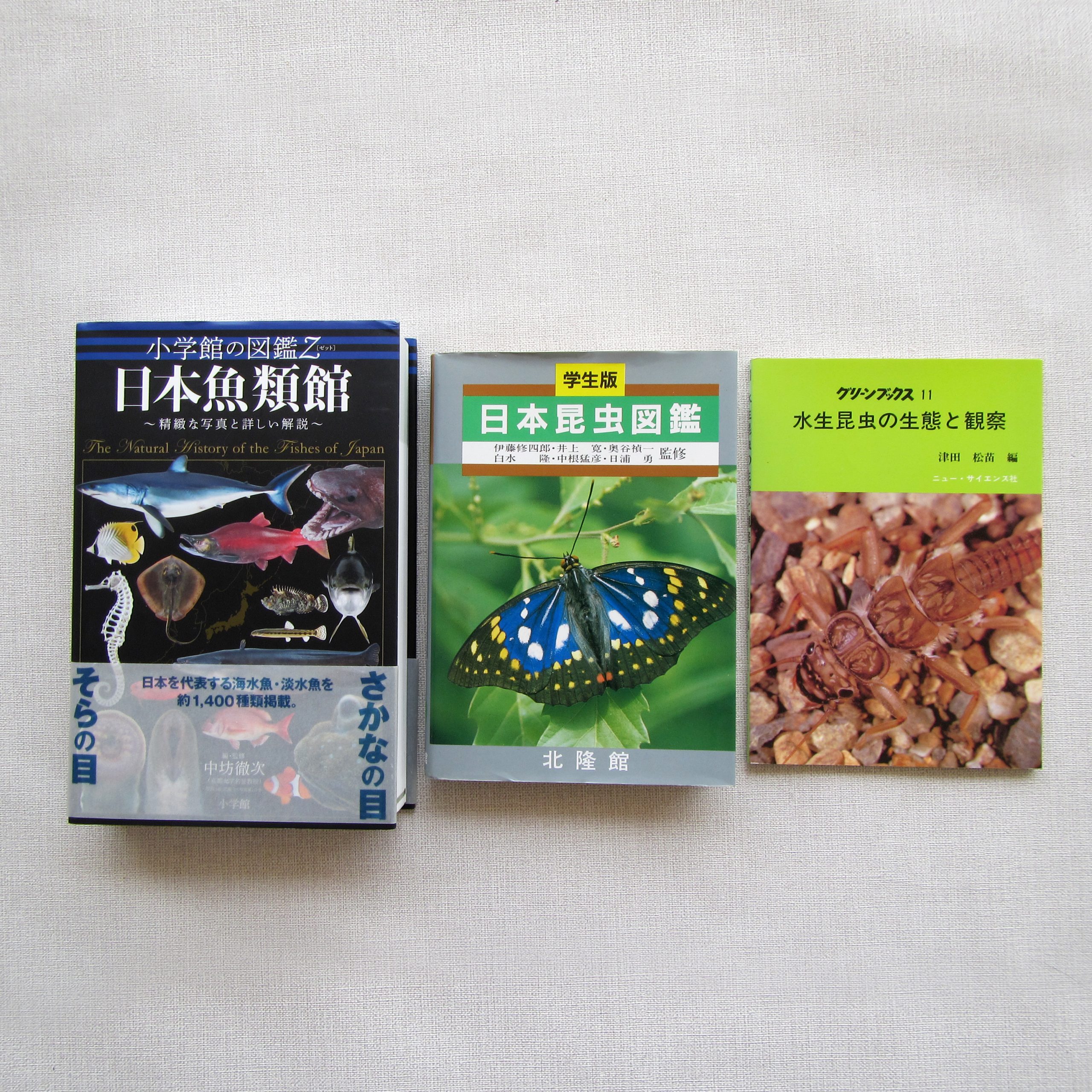 魚類図鑑・昆虫図鑑など 3冊セット