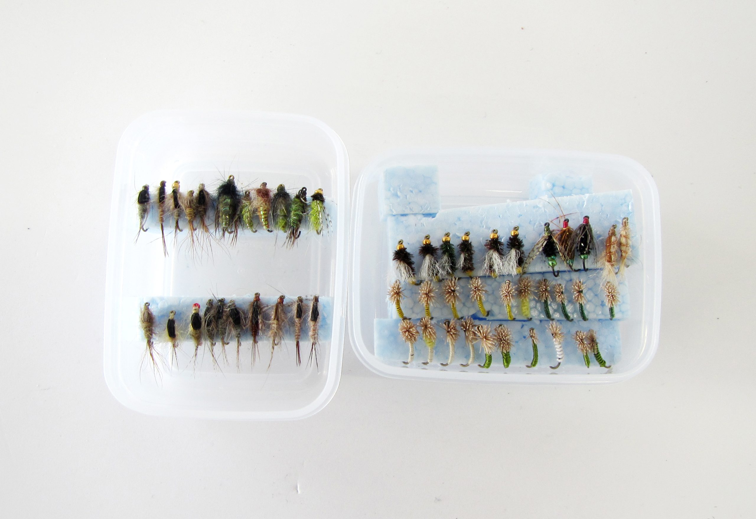 中型ニンフ52本セット